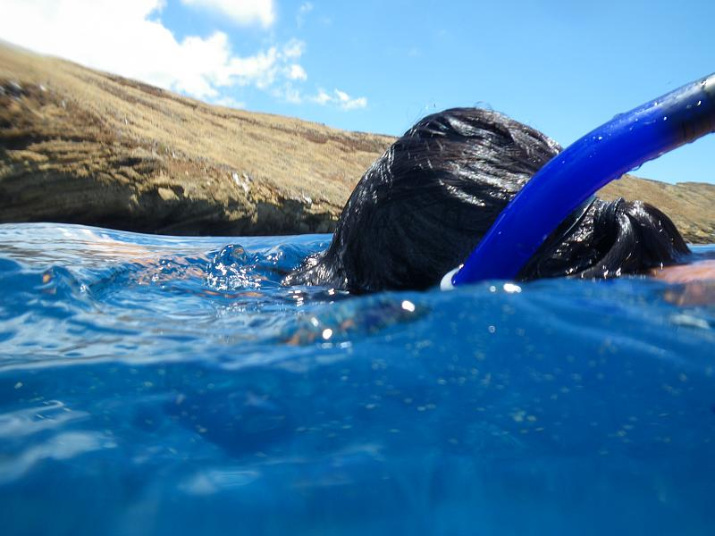 Illustration for article titled Review: Pentax W60 Waterproof Camera Catching Whale Sharks